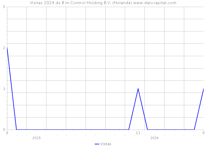 Visitas 2024 de B in Control Holding B.V. (Holanda) 