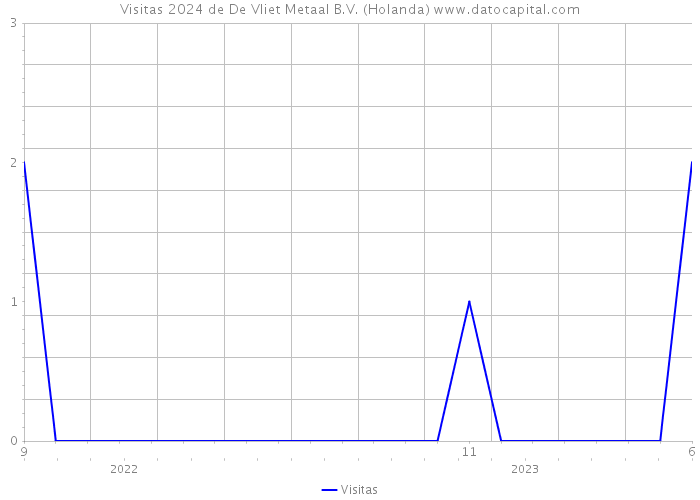 Visitas 2024 de De Vliet Metaal B.V. (Holanda) 