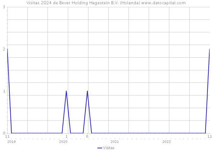 Visitas 2024 de Bever Holding Hagestein B.V. (Holanda) 