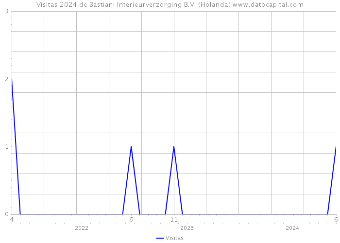 Visitas 2024 de Bastiani Interieurverzorging B.V. (Holanda) 