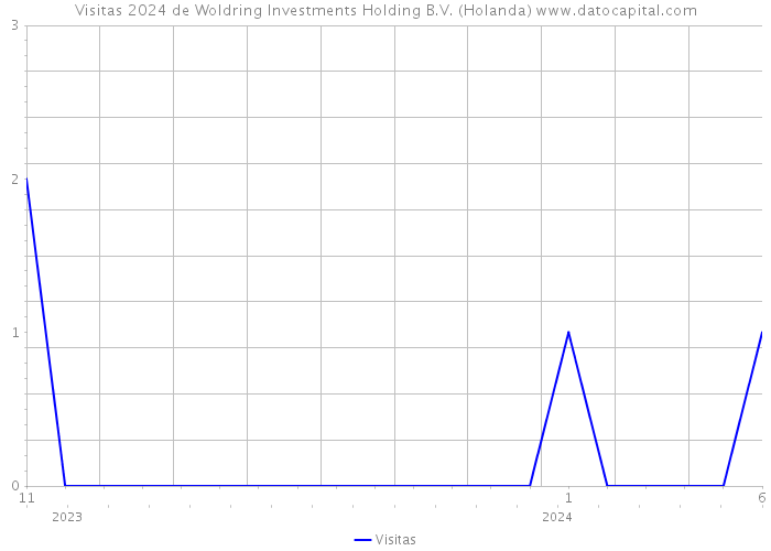 Visitas 2024 de Woldring Investments Holding B.V. (Holanda) 