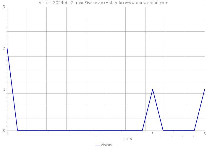 Visitas 2024 de Zorica Fisekovic (Holanda) 