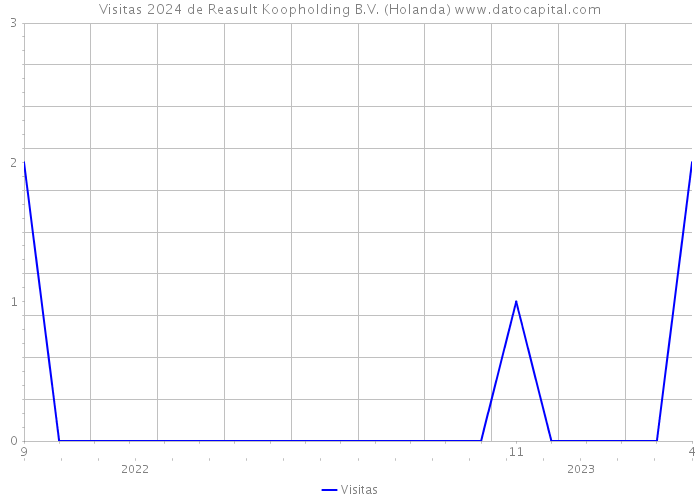 Visitas 2024 de Reasult Koopholding B.V. (Holanda) 