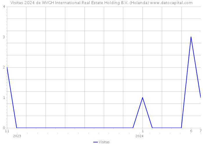 Visitas 2024 de WVGH International Real Estate Holding B.V. (Holanda) 