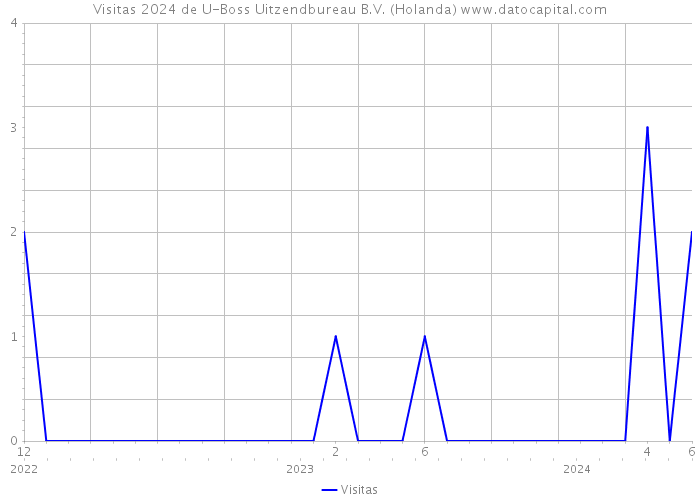 Visitas 2024 de U-Boss Uitzendbureau B.V. (Holanda) 