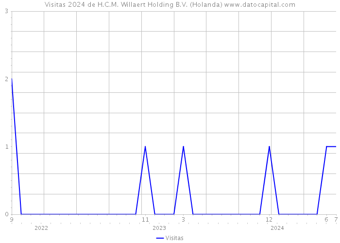 Visitas 2024 de H.C.M. Willaert Holding B.V. (Holanda) 