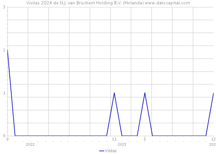 Visitas 2024 de N.J. van Bruchem Holding B.V. (Holanda) 