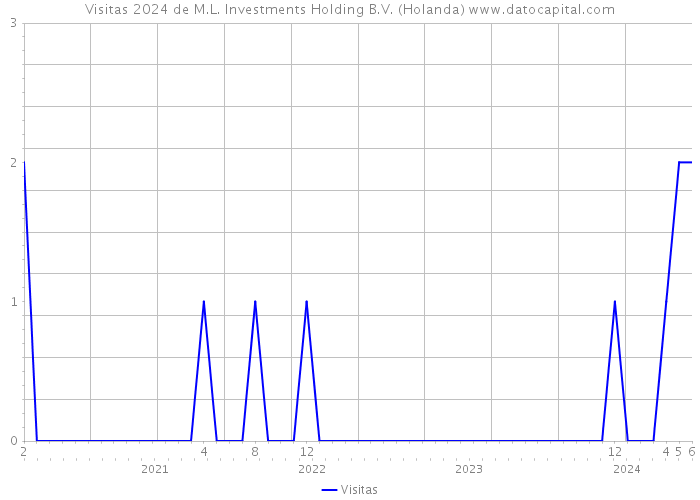Visitas 2024 de M.L. Investments Holding B.V. (Holanda) 