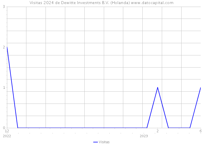 Visitas 2024 de Dewitte Investments B.V. (Holanda) 
