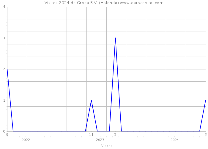 Visitas 2024 de Groza B.V. (Holanda) 