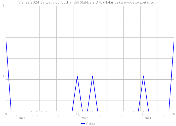 Visitas 2024 de Electrogroothandel Slabbers B.V. (Holanda) 