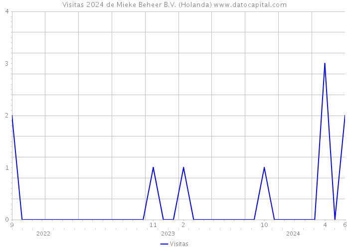 Visitas 2024 de Mieke Beheer B.V. (Holanda) 