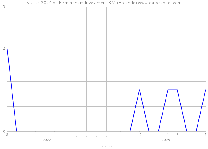 Visitas 2024 de Birmingham Investment B.V. (Holanda) 