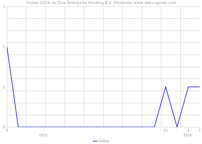Visitas 2024 de Diva Enterprise Holding B.V. (Holanda) 