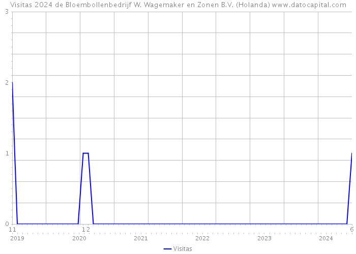 Visitas 2024 de Bloembollenbedrijf W. Wagemaker en Zonen B.V. (Holanda) 