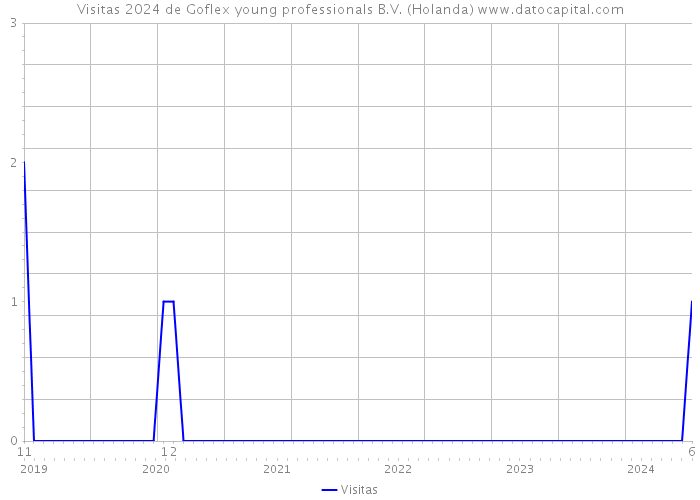 Visitas 2024 de Goflex young professionals B.V. (Holanda) 