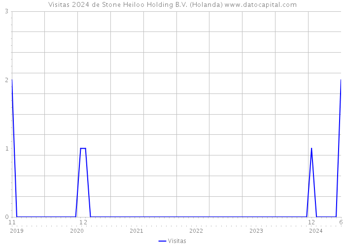 Visitas 2024 de Stone Heiloo Holding B.V. (Holanda) 