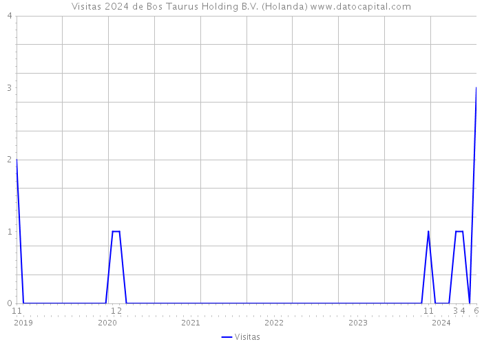 Visitas 2024 de Bos Taurus Holding B.V. (Holanda) 