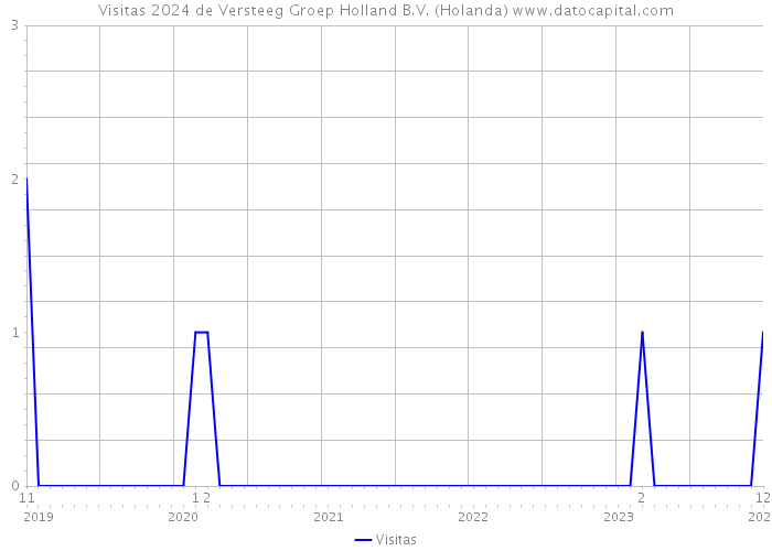Visitas 2024 de Versteeg Groep Holland B.V. (Holanda) 