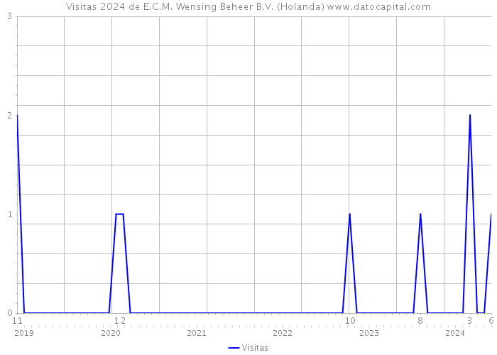 Visitas 2024 de E.C.M. Wensing Beheer B.V. (Holanda) 