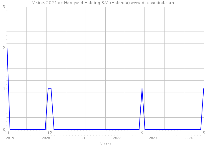 Visitas 2024 de Hoogveld Holding B.V. (Holanda) 