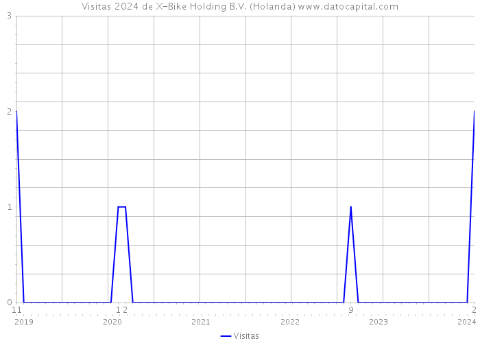 Visitas 2024 de X-Bike Holding B.V. (Holanda) 