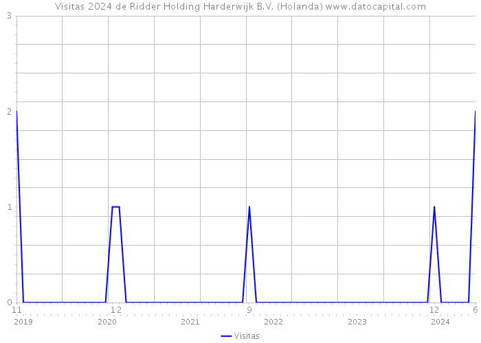 Visitas 2024 de Ridder Holding Harderwijk B.V. (Holanda) 