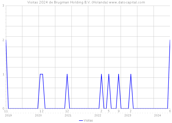 Visitas 2024 de Brugman Holding B.V. (Holanda) 