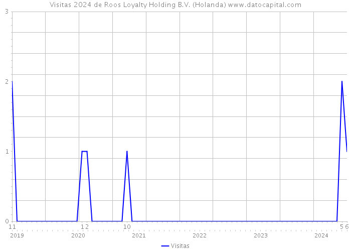 Visitas 2024 de Roos Loyalty Holding B.V. (Holanda) 