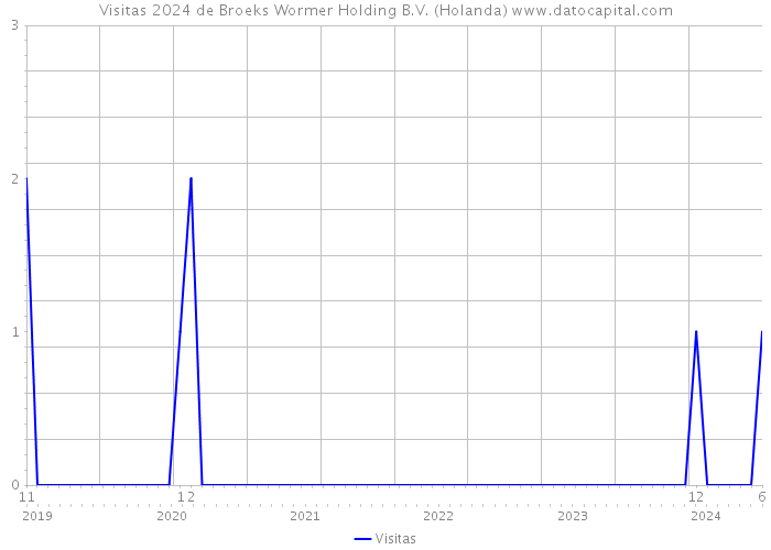 Visitas 2024 de Broeks Wormer Holding B.V. (Holanda) 