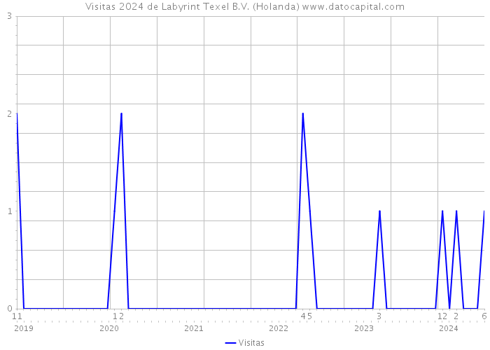 Visitas 2024 de Labyrint Texel B.V. (Holanda) 