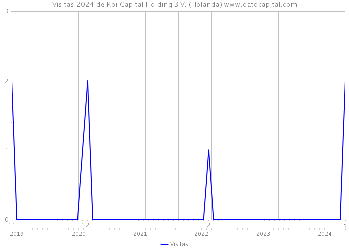 Visitas 2024 de Roi Capital Holding B.V. (Holanda) 