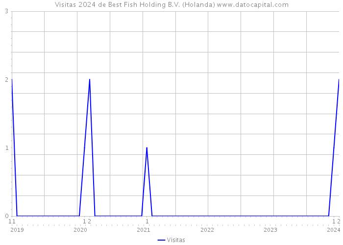 Visitas 2024 de Best Fish Holding B.V. (Holanda) 