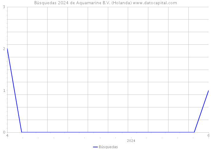 Búsquedas 2024 de Aquamarine B.V. (Holanda) 