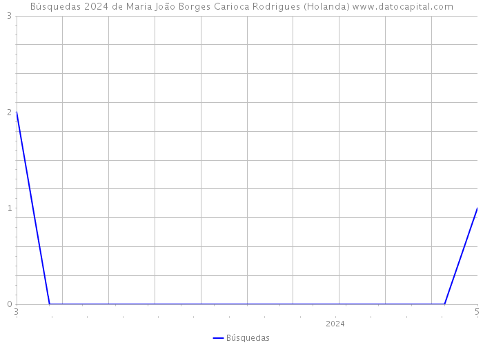 Búsquedas 2024 de Maria João Borges Carioca Rodrigues (Holanda) 