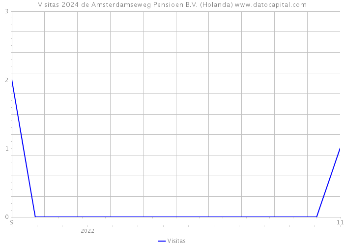 Visitas 2024 de Amsterdamseweg Pensioen B.V. (Holanda) 