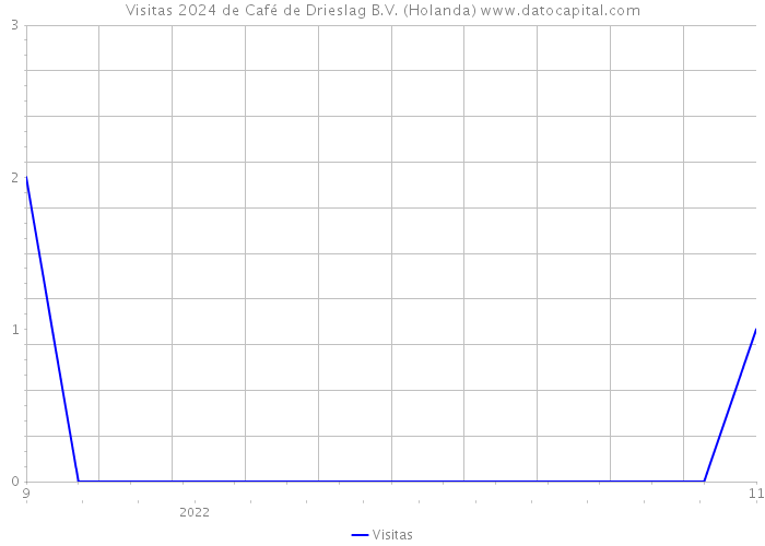 Visitas 2024 de Café de Drieslag B.V. (Holanda) 