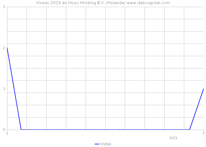 Visitas 2024 de Houx Holding B.V. (Holanda) 