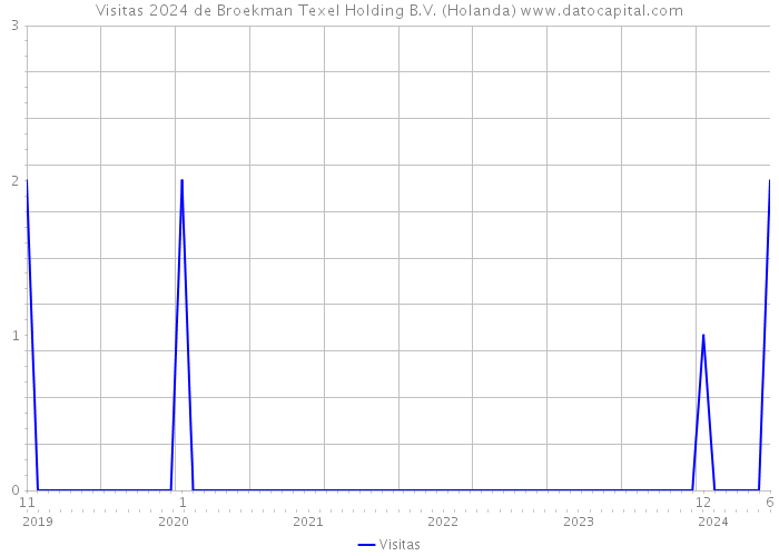 Visitas 2024 de Broekman Texel Holding B.V. (Holanda) 