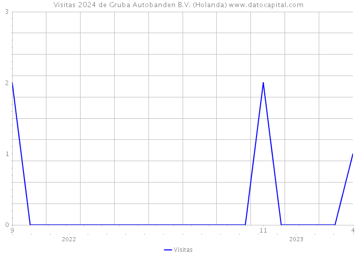 Visitas 2024 de Gruba Autobanden B.V. (Holanda) 