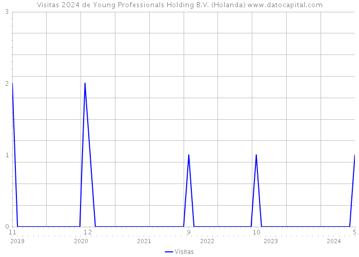 Visitas 2024 de Young Professionals Holding B.V. (Holanda) 