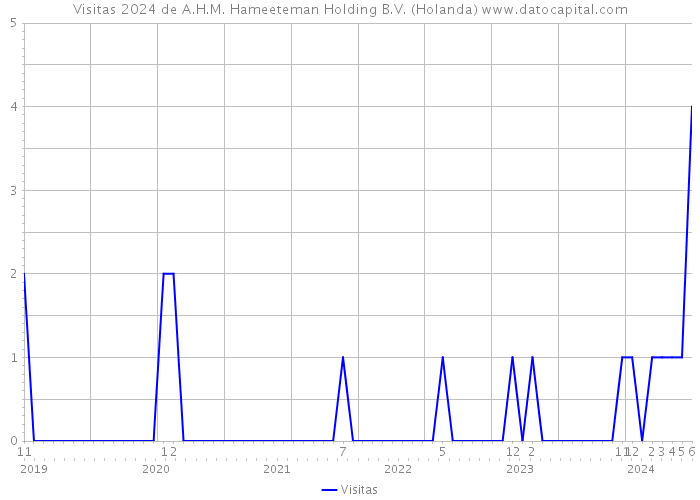 Visitas 2024 de A.H.M. Hameeteman Holding B.V. (Holanda) 