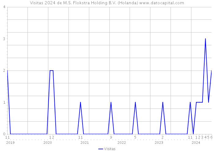 Visitas 2024 de M.S. Flokstra Holding B.V. (Holanda) 