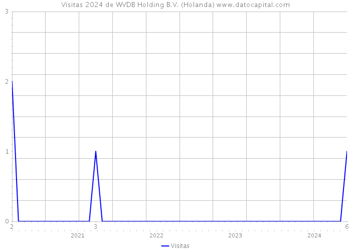 Visitas 2024 de WVDB Holding B.V. (Holanda) 