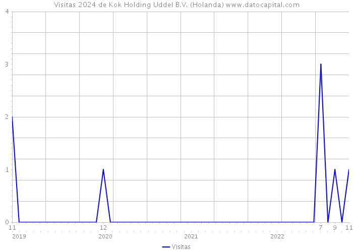 Visitas 2024 de Kok Holding Uddel B.V. (Holanda) 