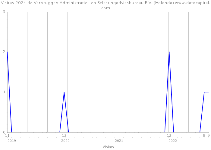 Visitas 2024 de Verbruggen Administratie- en Belastingadviesbureau B.V. (Holanda) 