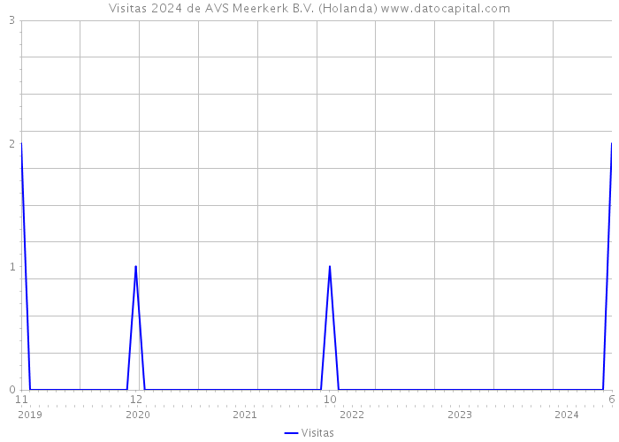 Visitas 2024 de AVS Meerkerk B.V. (Holanda) 