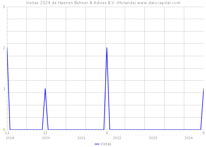 Visitas 2024 de Haenen Beheer & Advies B.V. (Holanda) 