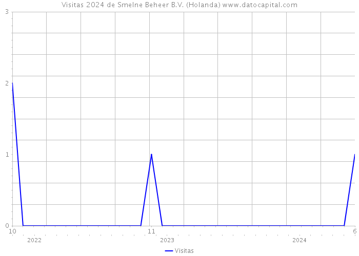 Visitas 2024 de Smelne Beheer B.V. (Holanda) 