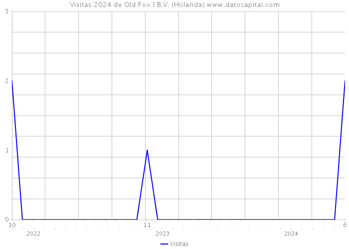 Visitas 2024 de Old Fox I B.V. (Holanda) 